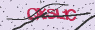 Captcha認証コード