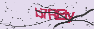 Captcha認証コード
